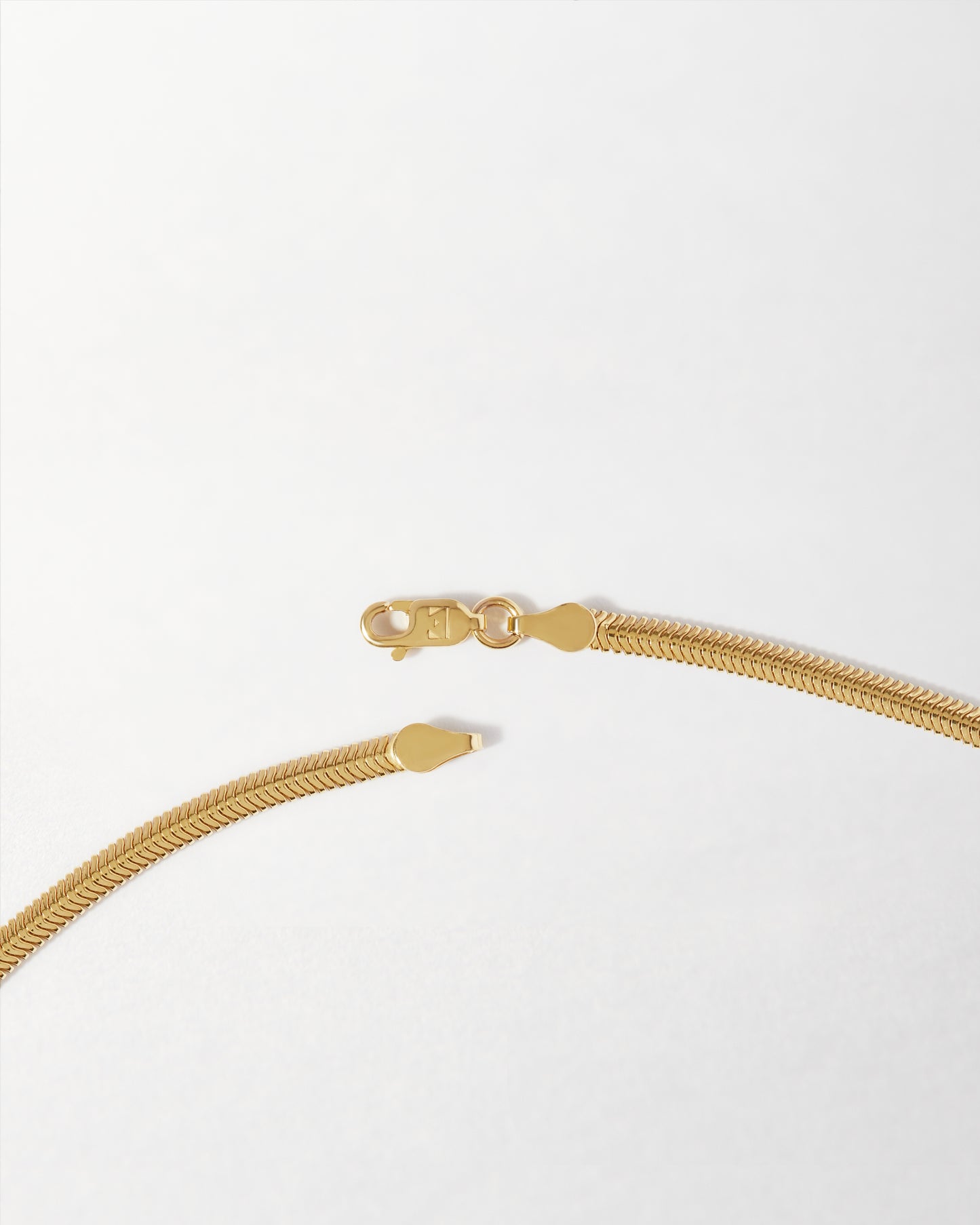 Flat Snake Chain Necklace - Gold