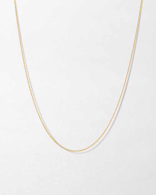 Eve Fine Chain Necklace