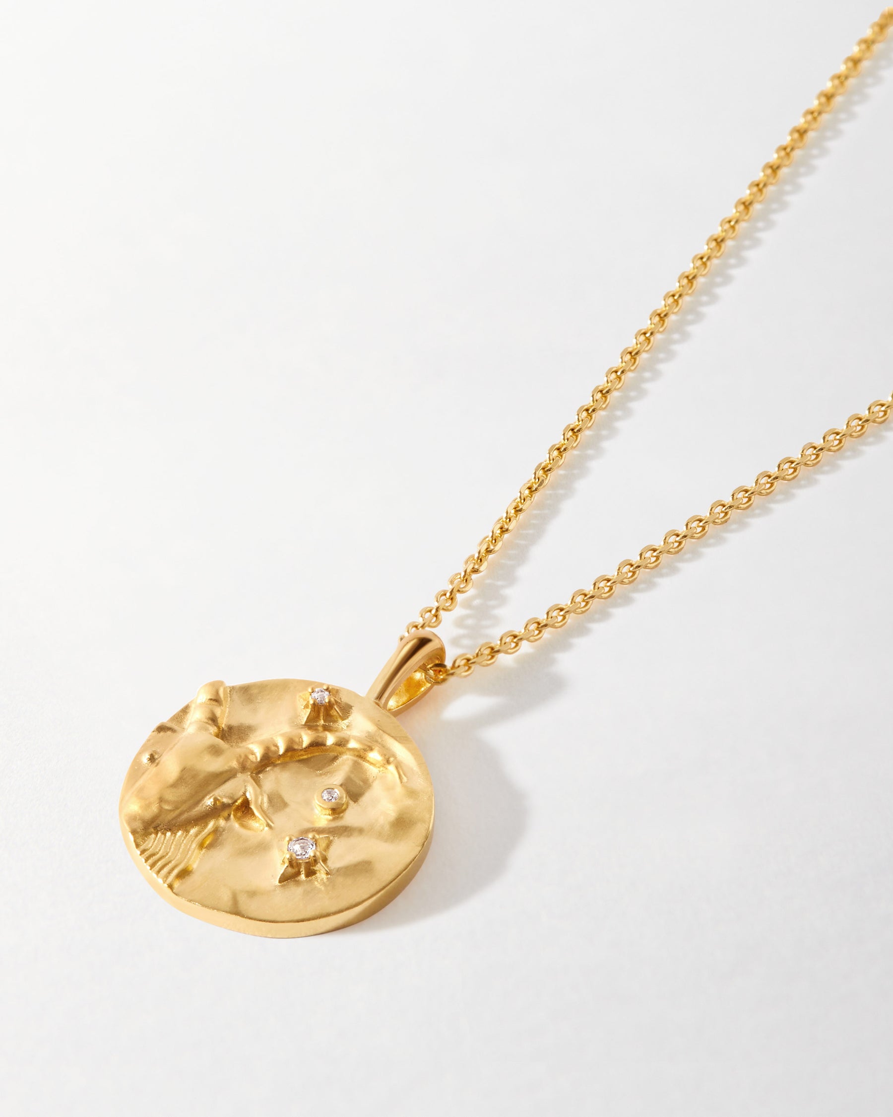 Gold Capricorn Zodiac Sign Medallion Pendant Necklace (yellow, white, rose,  10K, 14K) – Karma Blingz