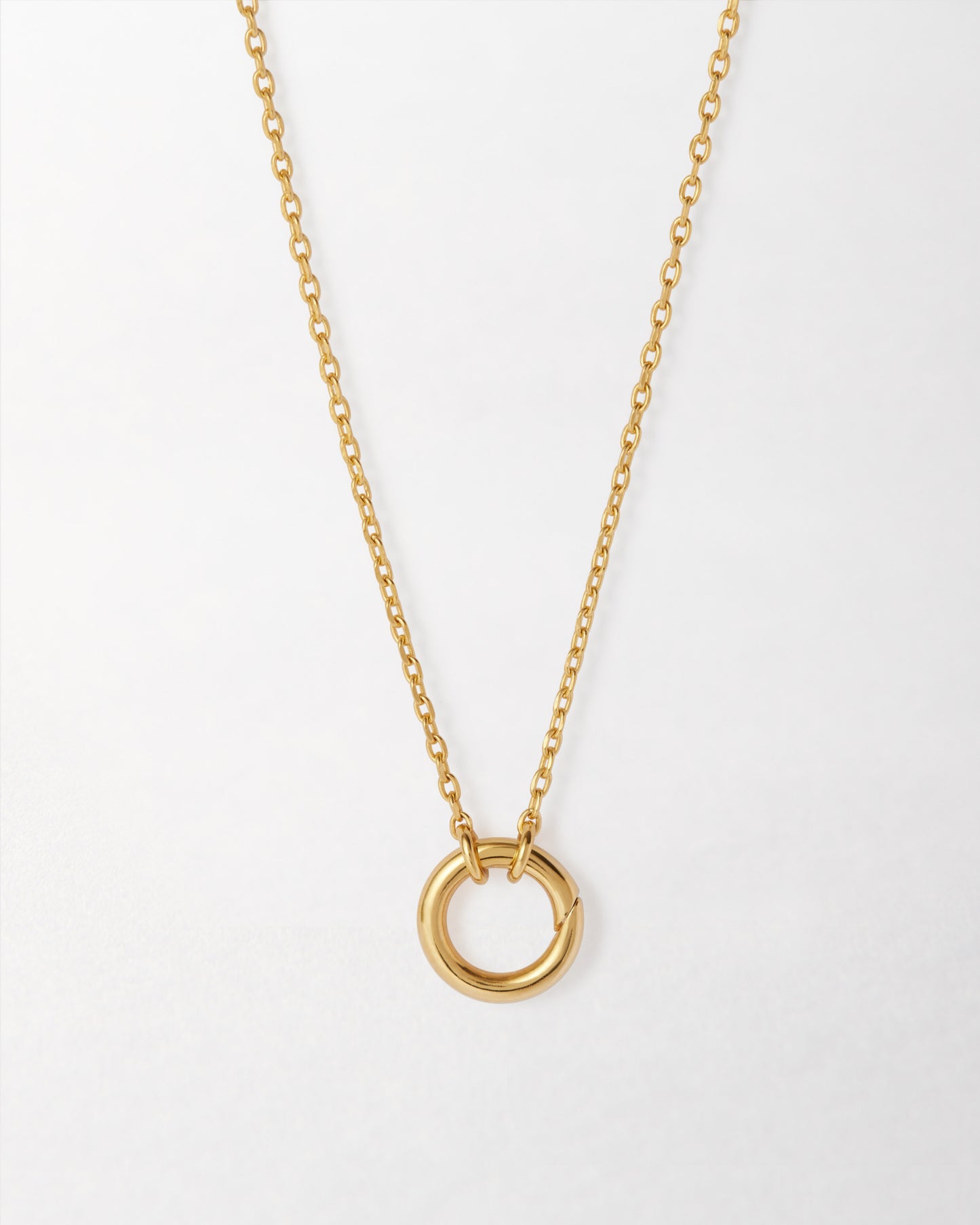 Gold Charm Collector Necklace