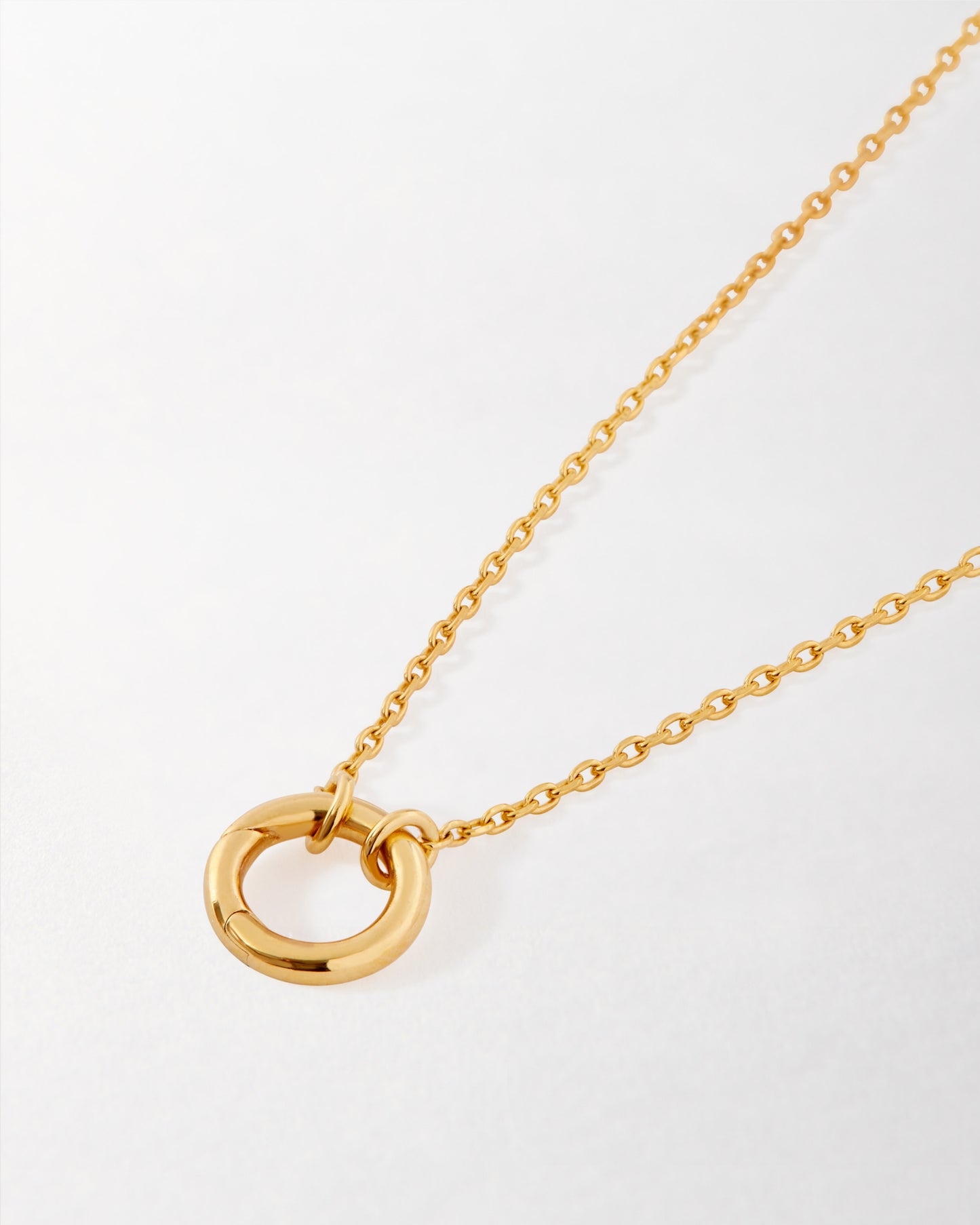 Charm holder necklace