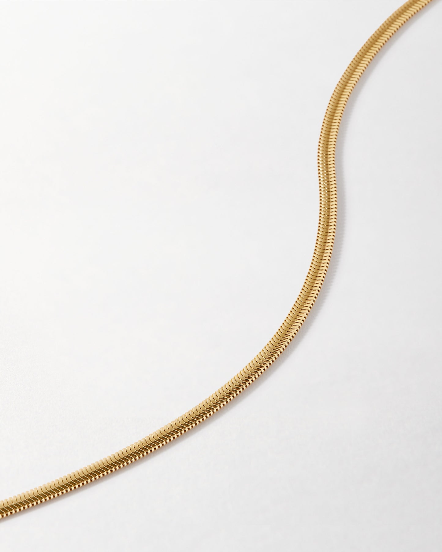 Flat Snake Chain Necklace - Gold