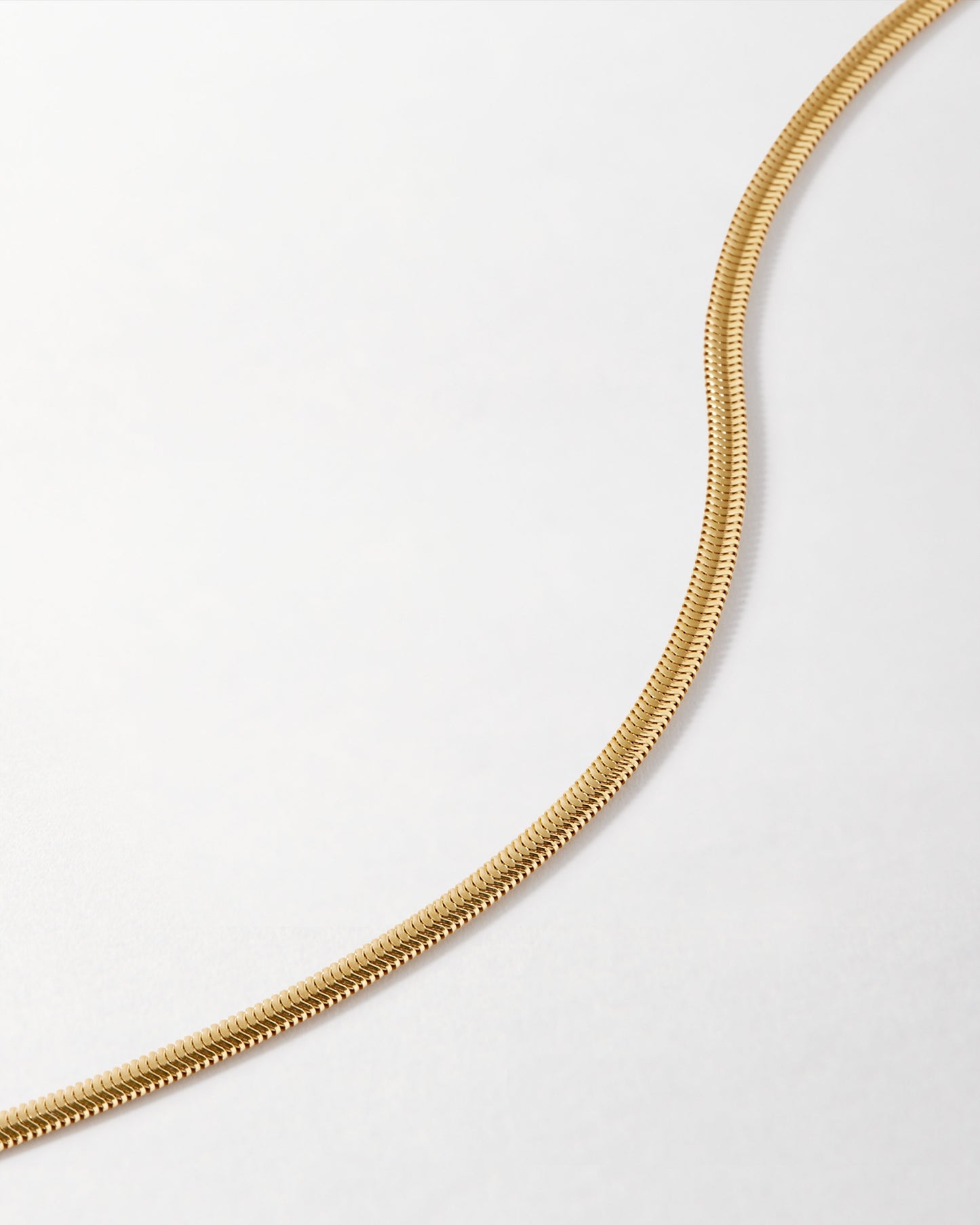 Flat Snake Chain Bracelet