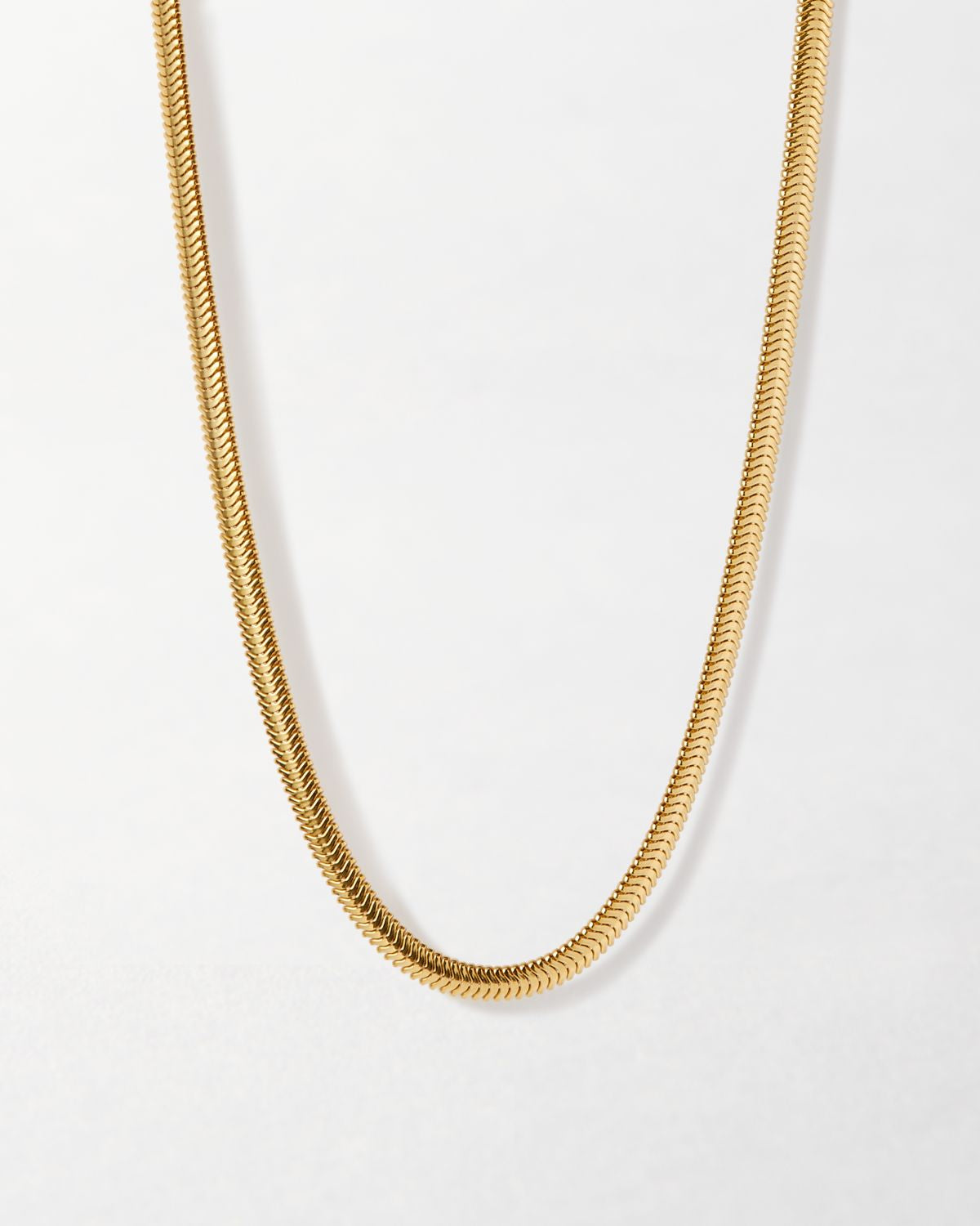 Flat Snake Chain Necklace - Gold