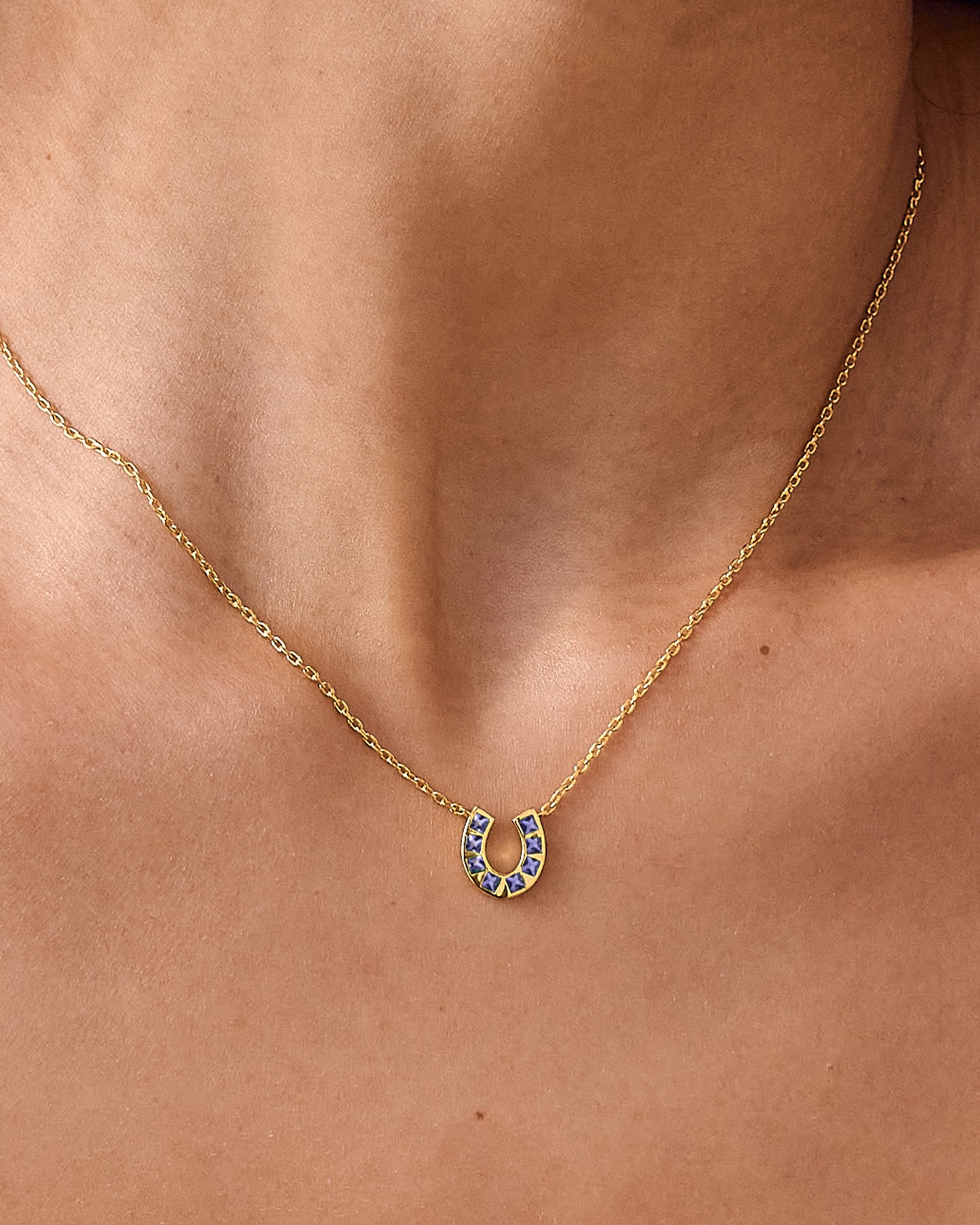 Horseshoe Iolite Necklace