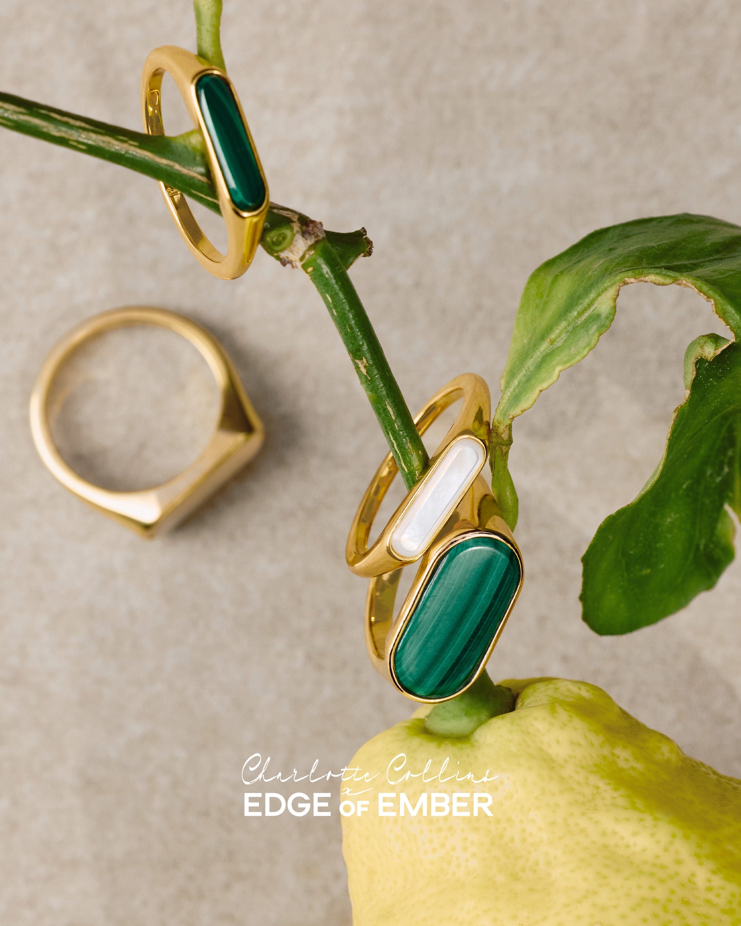 Charlotte Collins Mother of Pearl Signature Ring in gold-plated sterling silver featuring an elegant mother of pearl inlay, styled on a green branch with natural lighting.