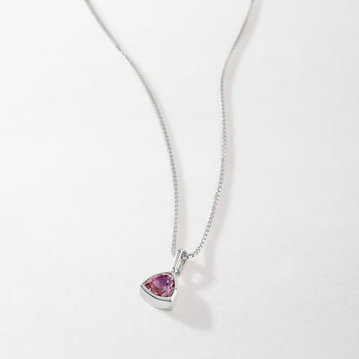 Amethyst February Birthstone Necklace - Silver