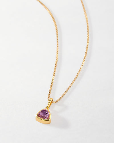 Amethyst February Birthstone Necklace - Gold